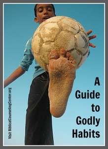 guide to godly habits photo